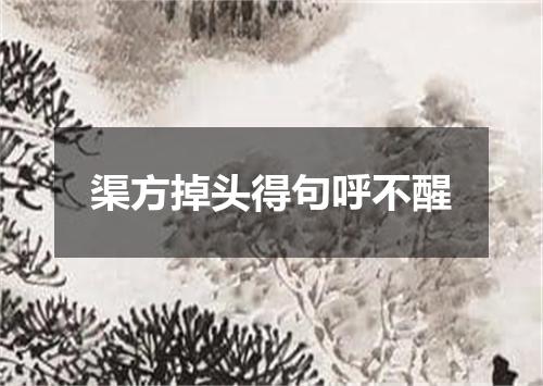 渠方掉头得句呼不醒