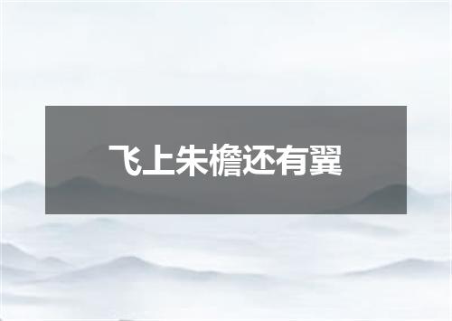 飞上朱檐还有翼