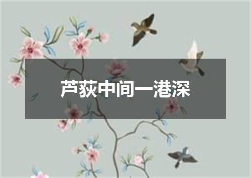 芦荻中间一港深