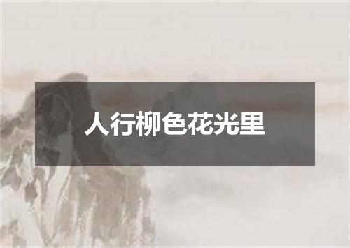 人行柳色花光里