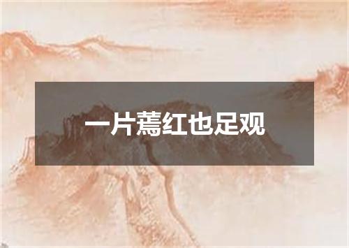 一片蔫红也足观