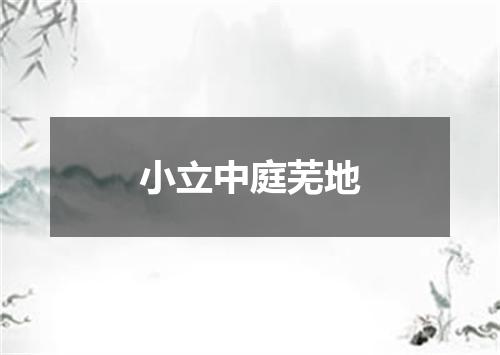 小立中庭芜地