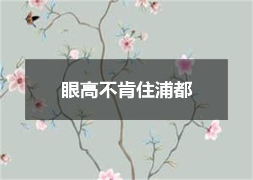 眼高不肯住浦都