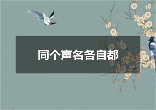 同个声名各自都