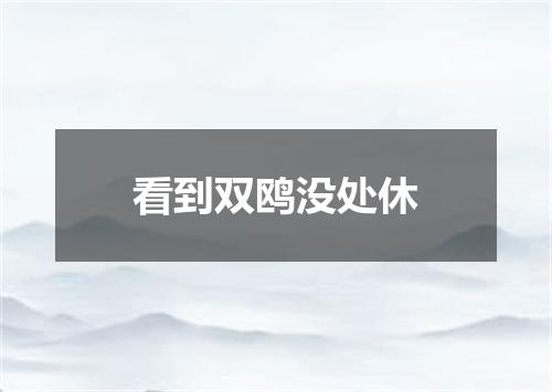 看到双鸥没处休