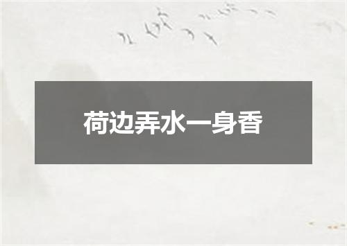 荷边弄水一身香