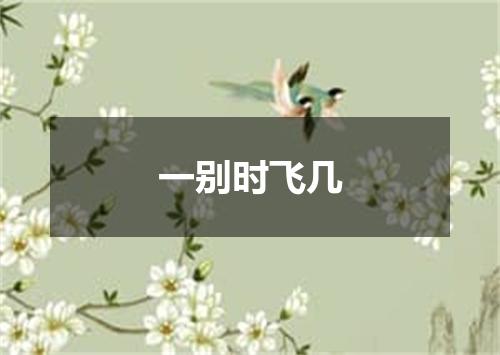 一别时飞几