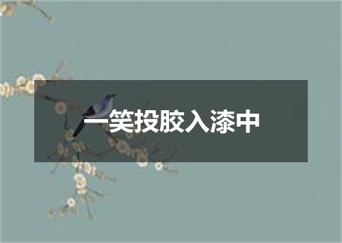 一笑投胶入漆中