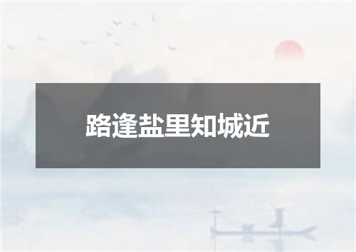 路逢盐里知城近