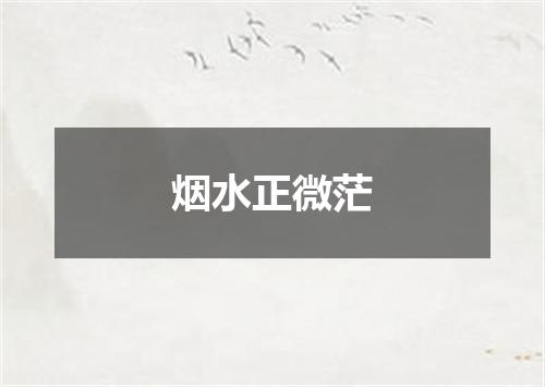 烟水正微茫