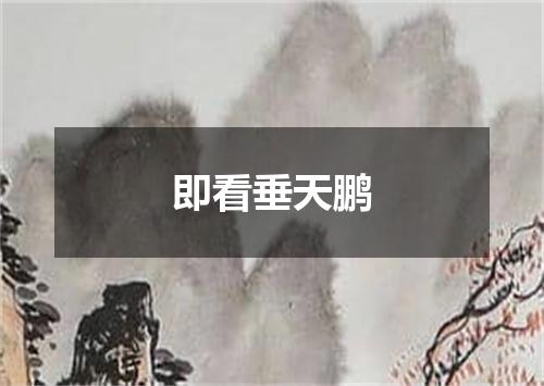 即看垂天鹏