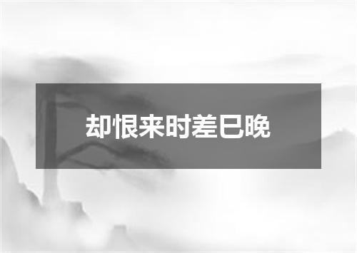 却恨来时差巳晚