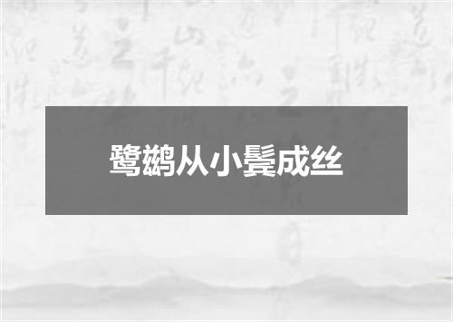 鹭鹚从小鬓成丝