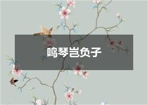 鸣琴岂负子