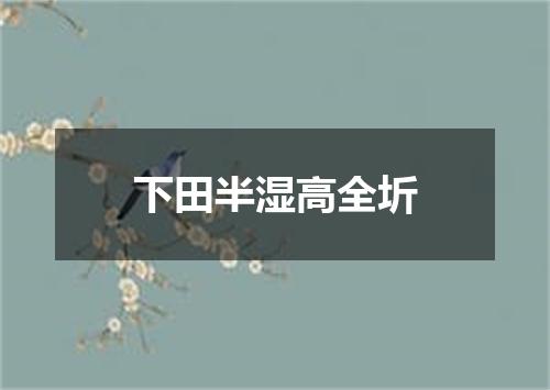 下田半湿高全圻