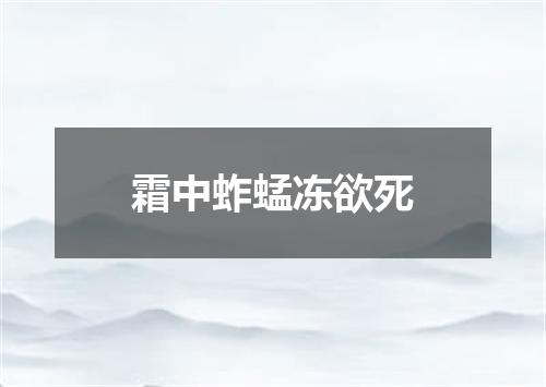 霜中蚱蜢冻欲死