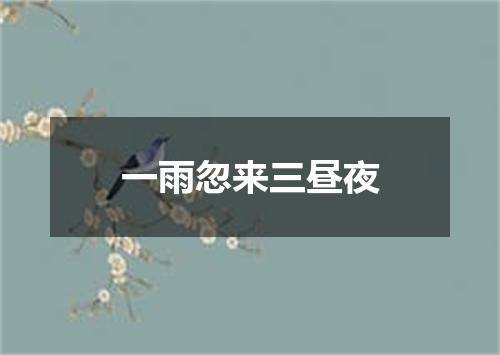 一雨忽来三昼夜