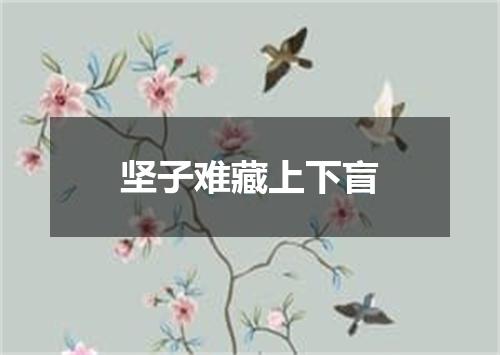 坚子难藏上下盲