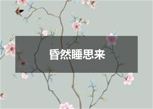 昏然睡思来