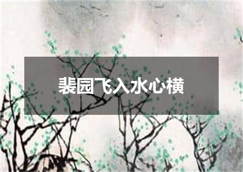 裴园飞入水心横