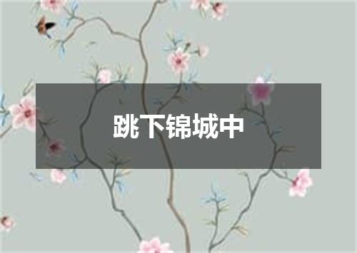 跳下锦城中
