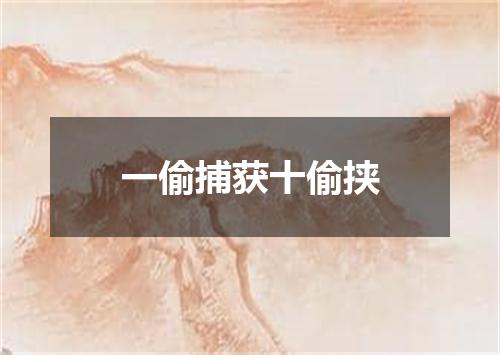 一偷捕获十偷挟
