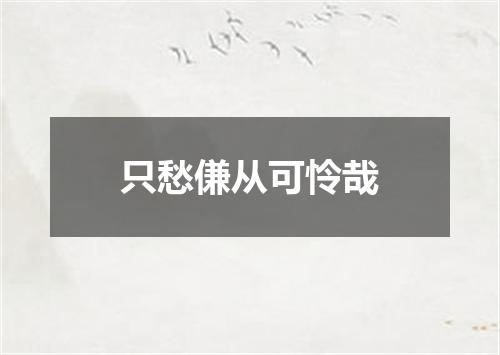只愁傔从可怜哉