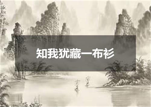 知我犹藏一布衫