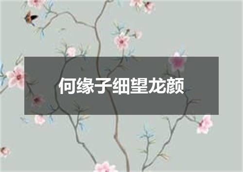 何缘子细望龙颜