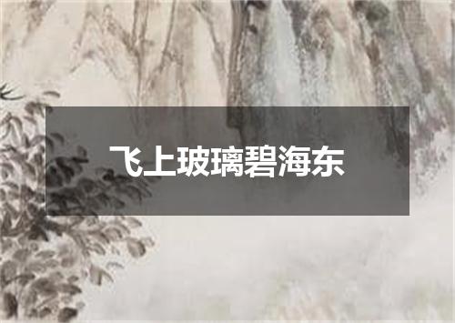 飞上玻璃碧海东