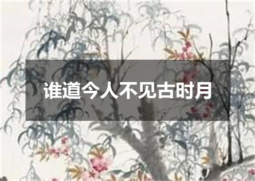 谁道今人不见古时月