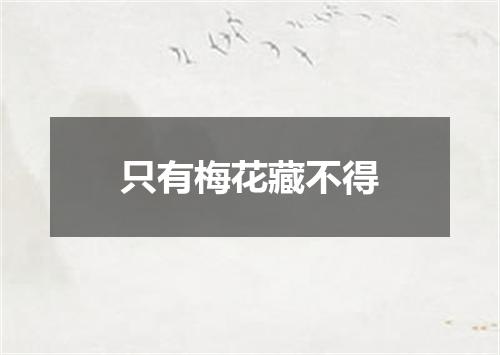 只有梅花藏不得