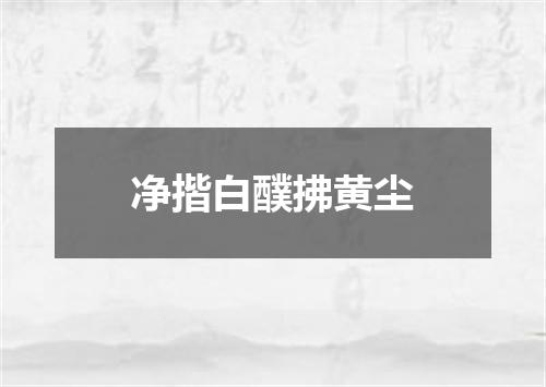 净揩白醭拂黄尘