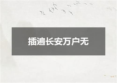 插遍长安万户无