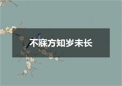 不寐方知岁未长