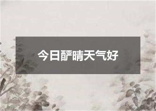 今日酽晴天气好