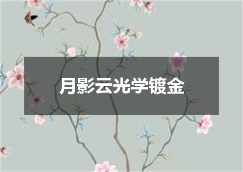 月影云光学镀金