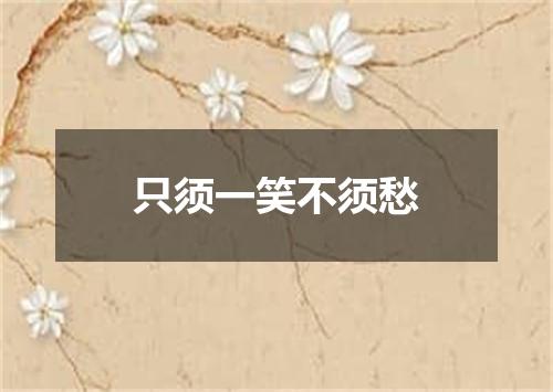 只须一笑不须愁
