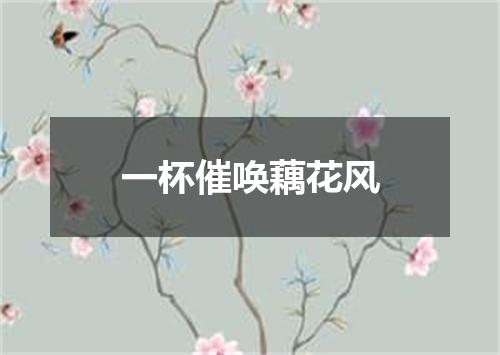 一杯催唤藕花风