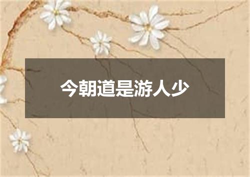 今朝道是游人少