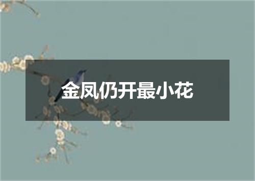 金凤仍开最小花