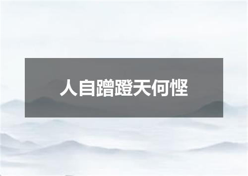 人自蹭蹬天何悭