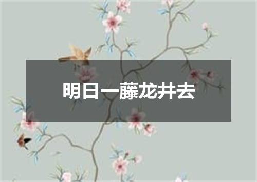 明日一藤龙井去