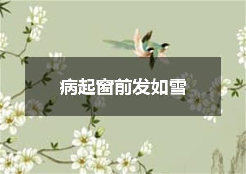 病起窗前发如雪