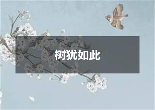 树犹如此