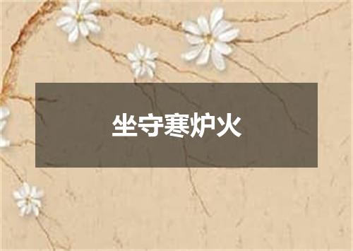 坐守寒炉火