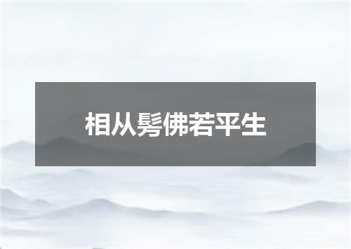 相从髣佛若平生