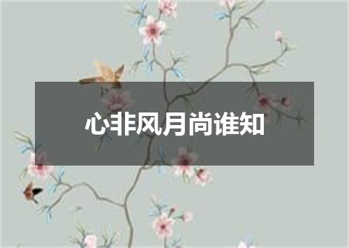 心非风月尚谁知