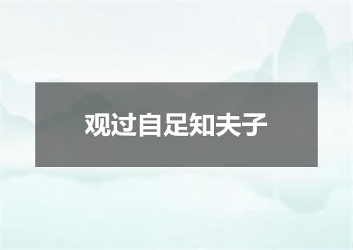 观过自足知夫子