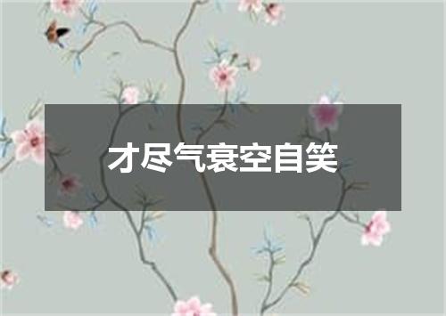 才尽气衰空自笑
